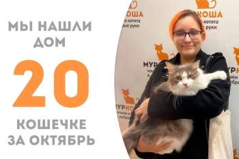 Идиллия воцаряется в доме, где уже живёт наша выпускница Юстыся!