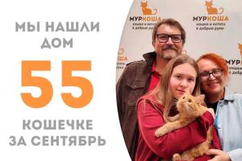Иририки уезжает спустя два месяца!