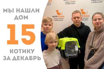 Ирискину улыбнулась удача!