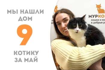 Каору стал счастливчиком и обрёл свой вечный дом!