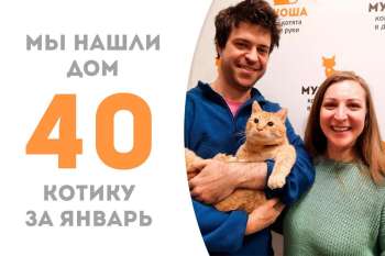 Каперс стал домашним!
