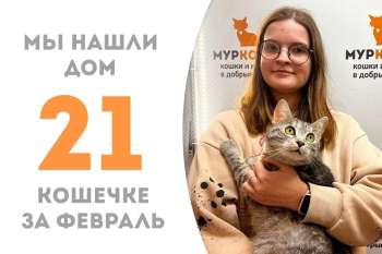 Два месяца потребовалось Касте, чтобы стать домашней!