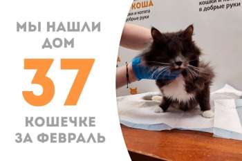 Особенная лапочка Катальпа отправляется домой радоваться жизни, дарить тепло и счастье своей новой семье!