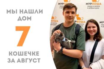 Катапульта отправилась в домашнюю жизнь!