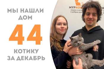 Кайрон становится счастливчиком!