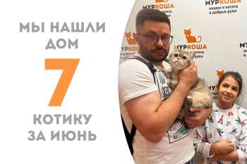 Пышнощёкий Хамиш нашёл себе новый дом чуть больше чем за неделю!