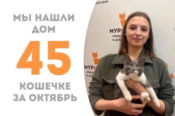 Харма нашла дом чуть больше, чем за три месяца!