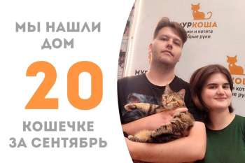 Хатти нашла семью менее чем за три месяца!