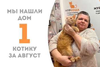 Провожаем домой Хавьера!