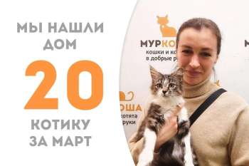 Малыш Хелиодор, пробыв менее трёх недель в приюте собрался домой!