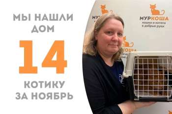 Очаровательный Хитрюга отправляется домой!