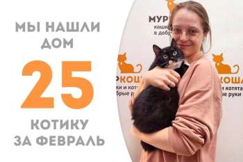 Чуть больше двух месяцев прошло, а малыш Китис уже обрёл дом!
