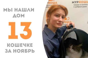 Прекрасная Кларисса наконец стала по-настоящему домашней!