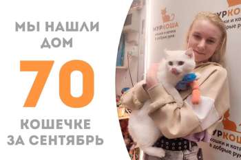 Комедия повстречала хозяйку!