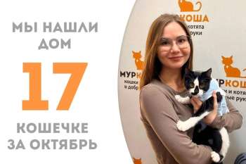 Кокетка Конопушечка пробыла у нас всего два месяца, и успела очаровать свою добрую хозяйку!