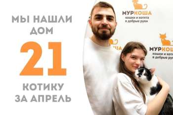Милейший Корнелиус наколдовал себе семью!