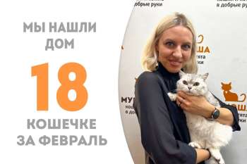 Кошечка Корсика повстречала свою хозяйку!