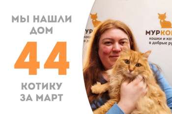 Прощаемся с пушистыми щечками Кошарика!