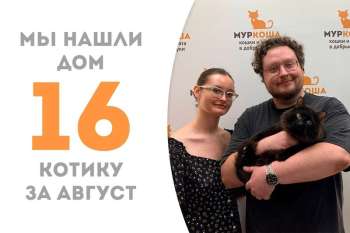 Коттабыч волшебным образом нашёл свою семью!