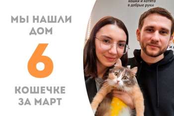 За 3 месяца Кремка обрела семью и спешит домой к нашему выпускнику Чибису!