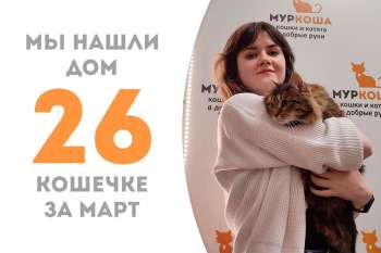 Красавица Крона стала домашней!