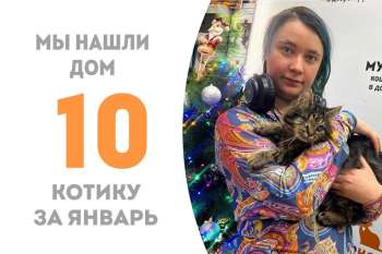Чуть больше трех месяцев понадобилось Кутузу, чтобы завоевать сердце своей прекрасной хозяйки!