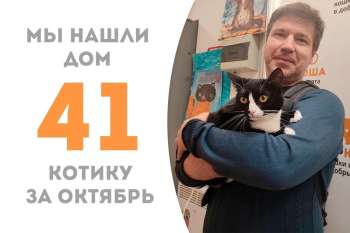 Кузик снова домашний!