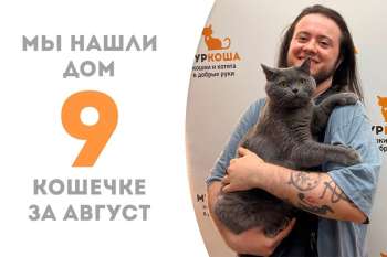 Ланаи обрела дом, пробыв у нас всего месяц!