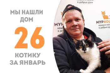 Ларчик, пробыв полтора месяца в приюте, встретил своего человека!