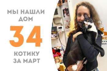 Нежный Латук распушил прекрасные щёки и устремился домой, где его ждёт наш выпускник Граве!