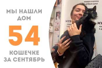 Лайба становится счастливицей!