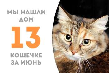 Нежная Лекси становится счастливицей!