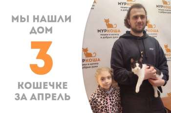 Юная Лемонема нашла свой дом всего за полтора месяца!