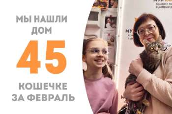 Леокадия провела почти три месяца в приюте и, не дожидаясь весны, решила отправиться домой!