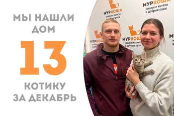 Леоша нашел новый дом всего за пару недель!