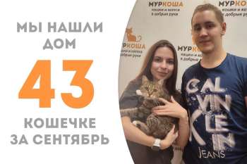 Прелестная Летиция провела с нами полтора месяца и отправляется жить в семью к кураторам!