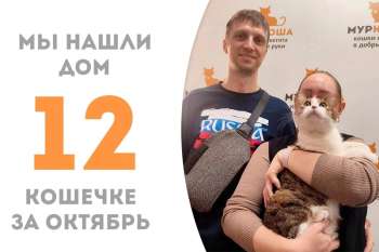 Липушка стала домашней!