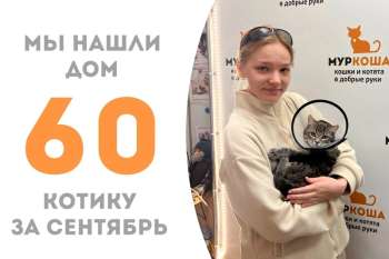 Лиссабон встретил замечательную хозяйку!