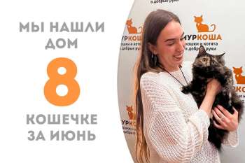 Лориблю уехала к нашим выпускникам, Каору и Флирту!