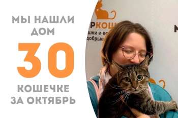 Лорри встретила своего человека!