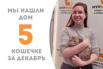 Малышке Лойс понадобился всего месяц, чтобы выбрать любящие ручки!