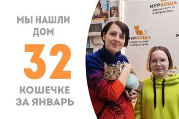 Скадкой Лукумке понадобилось немногим больше трех месяцев, чтобы обрести дом!