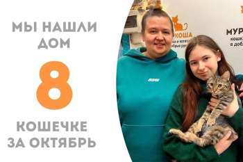 Лувиния становится счастливицей!