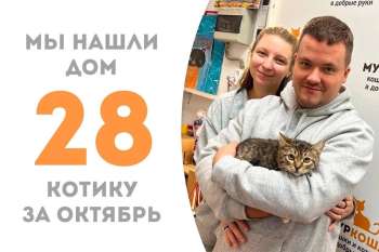 Всего два с половиной месяца понадобилось Мадриду, чтобы встретить семью!