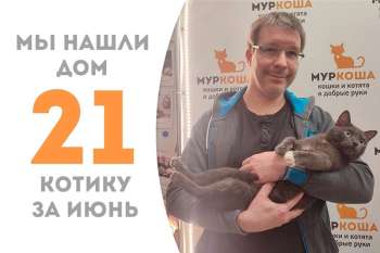Магнитик притянул к себе своего человека за месяц с хвостиком!