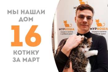 Магнус встретил своего человека!