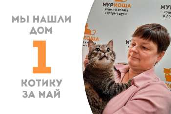 Первым счастливчиком в мае становится Макфлай!