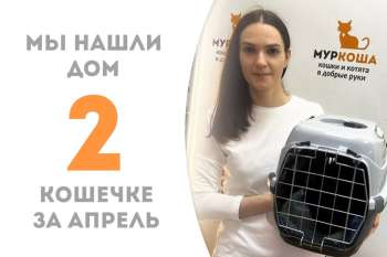 Элегантная Макима стала домашней!