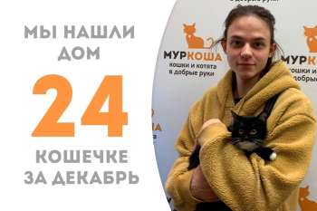 Мальме вновь улыбнулась удача!