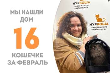 Малуша упорхнула домой!
